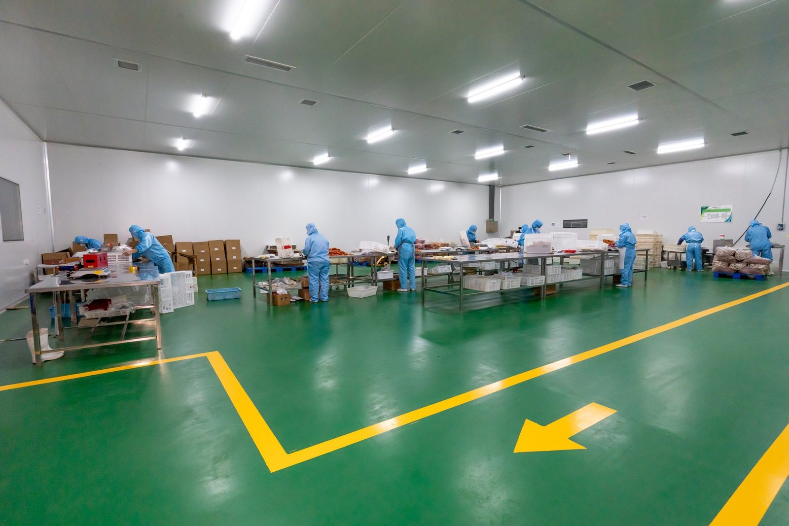 Pet snack production line